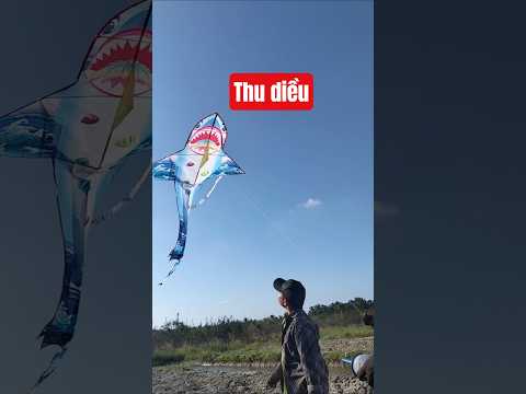 Thu diều mệt quá/Gạo Bắp Bo TV #shortvideo #funny