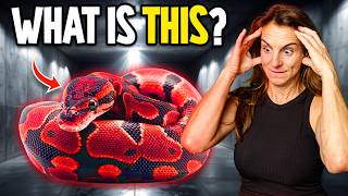 I Hatched a Snake… But What Is This Thing?!