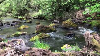Relaxation and Mediatation #2: Downstream flowing waters