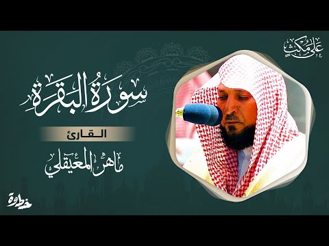 فيديو 168 من  القرآن الكريم