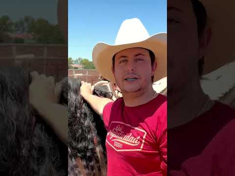 Don silverio va por pajaretes con abelito
