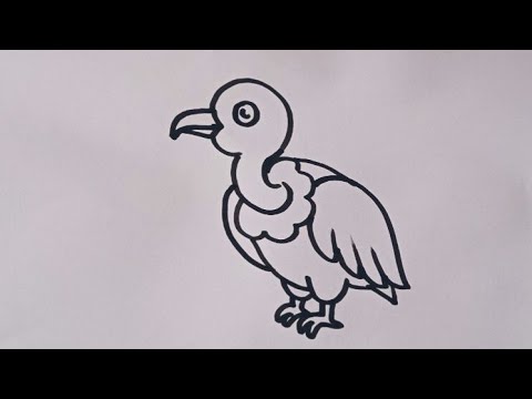 Vulture drawing easy/How to draw a vulture/Bird drawing/Vulture drawing step by step