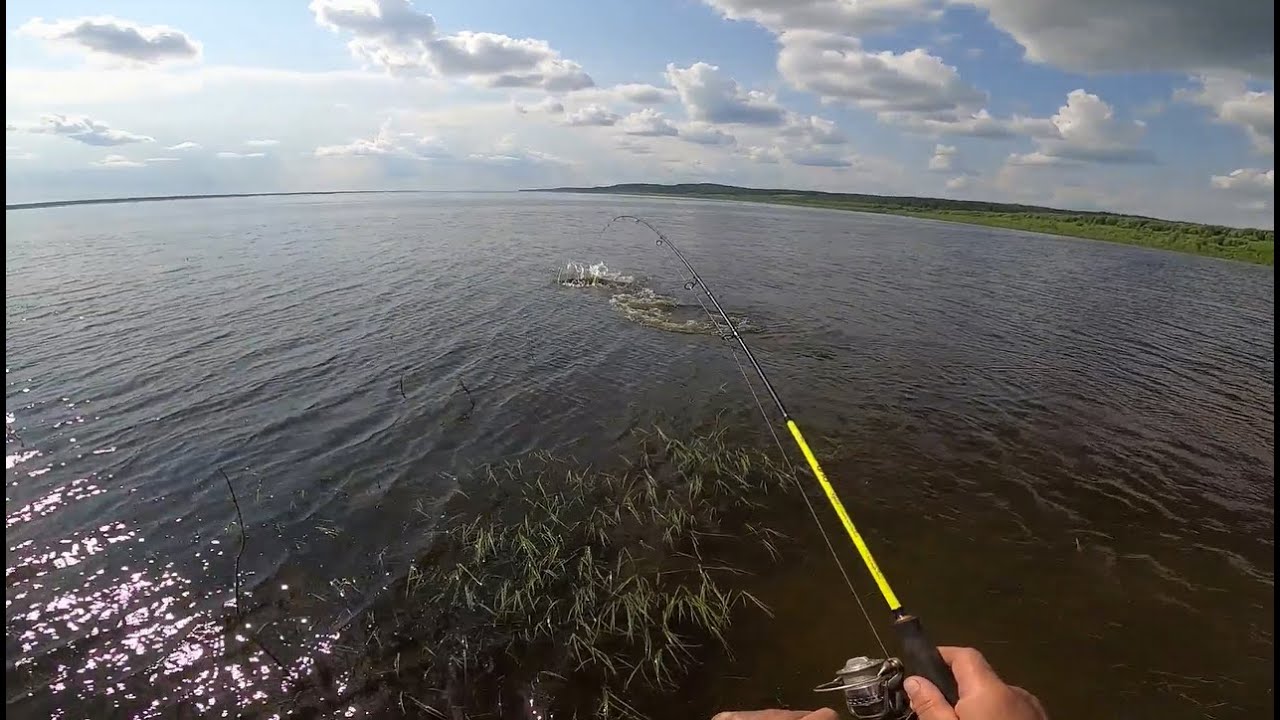 Рыбалка. Бешеный клёв 2020 (часть вторая)