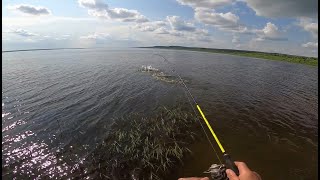 видео