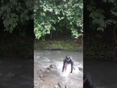 omg so big snake in the rock