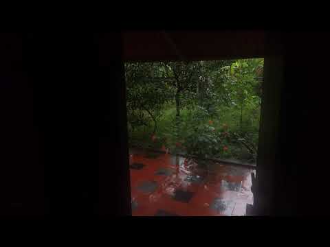Soothing Rain Sounds at Home |  Relax, Study, Reduce Stress