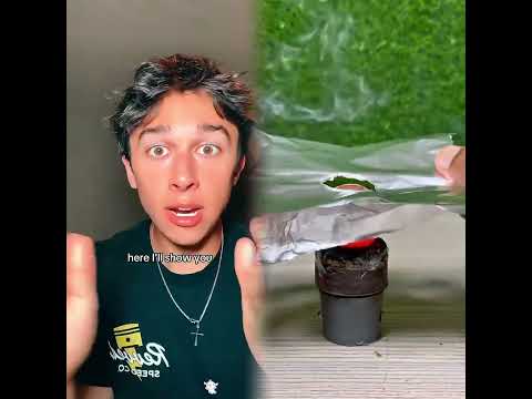 Por favor comparte con tus amigos #pov #herramientas #sketch #gracioso #actuación #historia