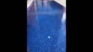 Project Video 4 2026   فيديو المشروع