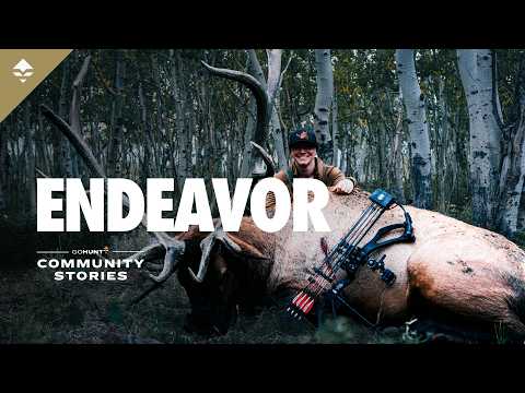 ENDEAVOR - A Limited Entry Archery Elk Hunt