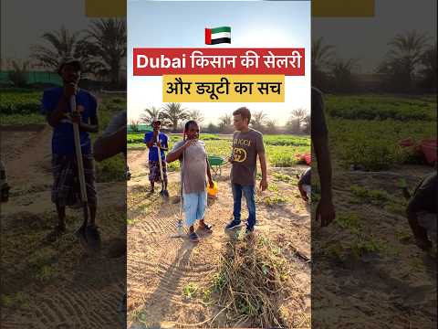 Dubai किसान की सेलरी का सच #dubaifarming #dubailfe #shortvideo #reels #uea #dubaivlog