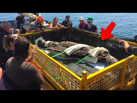 Pescadores capturaram o que ninguém deveria ver