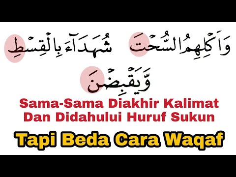 Wajib Beda Cara Waqaf Pada 2 Huruf Sukun | Pemula Harus Kuasai Ini Jika Mau Lancar Baca