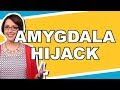 Understanding the Amygdala's Role