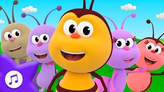 Cinque Piccoli Insetti 🐝 Piccoli Insetti | Canzoni per bambini | Il Regno dei Bambini