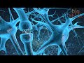 Understanding Flow States and Neurochemistry