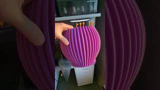 Moving House But Still 3D Printed These Big Flower Pots for Her 🌿