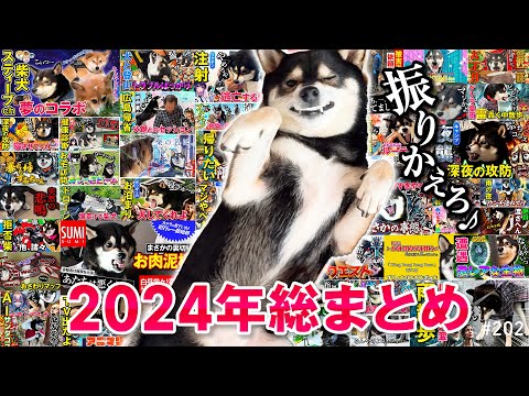 2024年ありがとう！すみすみの1年間総集編！