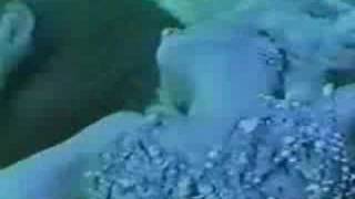 Madonna- Elephant commercial