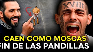El vídeo mas visto de Nayib Bukele en el mundo, Demostrando como se gobierna una Nación