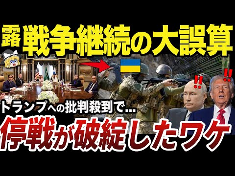 【ゆっくり解説】ロシアとウクライナの停戦交渉が破綻している残念すぎる理由