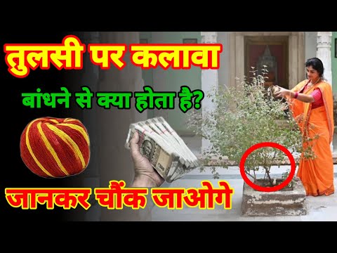 तुलसी के पौधे पर, कलावा बांधने से क्या होता है? जानकर चौंक जाएंगे