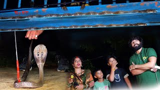 आप सोच भी नहीं सकते कहां छुपा था, ऐसा कैसे हो सकता है।  Venomous Cobra Snake Rescue in India