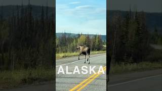 4-Day Workshop in Fairbanks, Alaska, USA #watercolourtutorial #watercolourworkshop