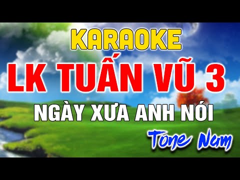 KARAOKE LK TUAN VU 3