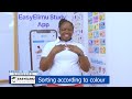 Identifying Colors and Sorting Objects