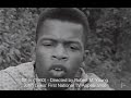 Civil Rights Movement Reflections