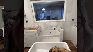 The Patter Flips Today!