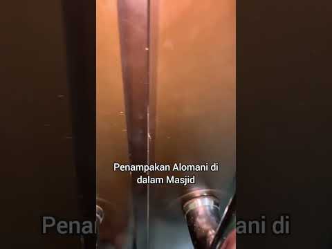 Penampakan Alomani #viral #fyp #hantu