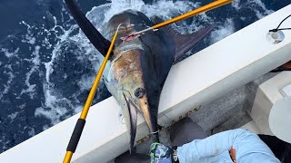 Pesca de Marlin Azul de 200 lbs y Wahoo en Barra de Navidad