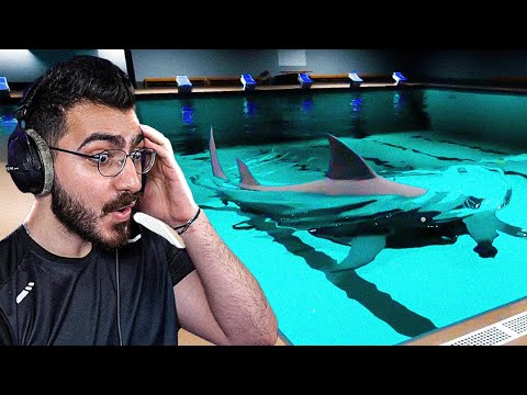 حصلت قرش خطير في المسبح ولازم انزل للجهة التانية !! 🦈