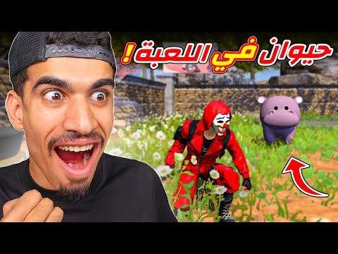 اخيرا جارينا فعلتها !