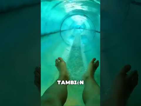 ¡Díos Mío Este Tío Se Ha Tirado Por El Tobógan Y Tengo Que Salvarlo!