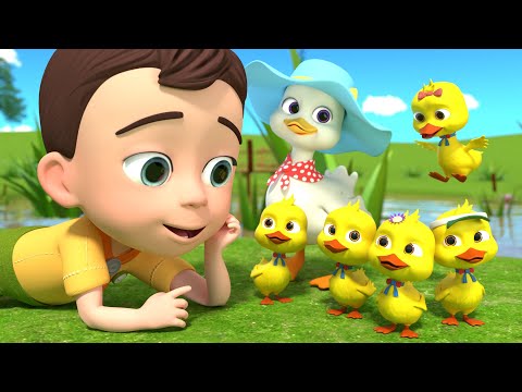 5 Little Ducks song | Newborn Baby Songs & Nursery Rhymes