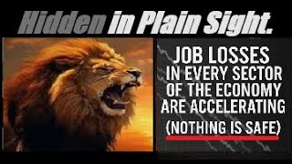 JOB LOSSES IN EVERY SECTOR OF THE ECONOMY ARE ACCELERATING. MORE COMING. NOTHING IS SAFE. Mannarino