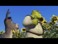 Understanding Ogres and Onions