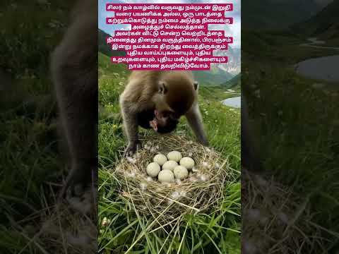 சிலர் நம்வாழ்வில் வருவது நம்முடன் இறுதி வரை பயணிக்க அல்ல ஒரு பாடத்தை கற்றுக்கொடுத்து அழைத்துச் செல்ல