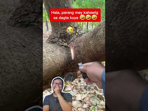 Hala, parang may kahawig sa dagta kuya 🤣🤣🤣🤣