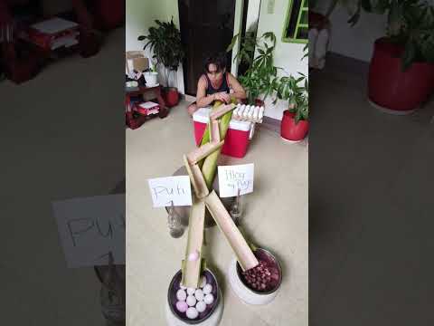 Ang galing nila #video #trending #funny #fyp #viral