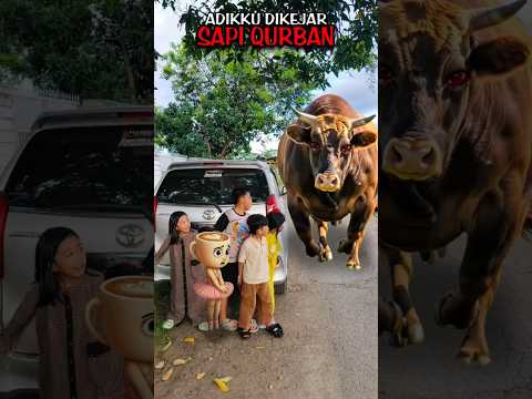 Apa❗Adikku dikejar sapi Qurban ❗Begini Cara Buatnya❗#editing #tutorial