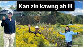 Tuikhawhtla Ropui NIAGARA FALLS kan panna WILD FLOWERS leh THINGHNAH an va mawi em ..