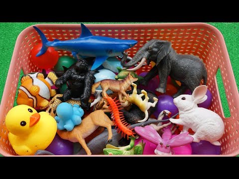 Sons de animais | Aprender sons de animais em português