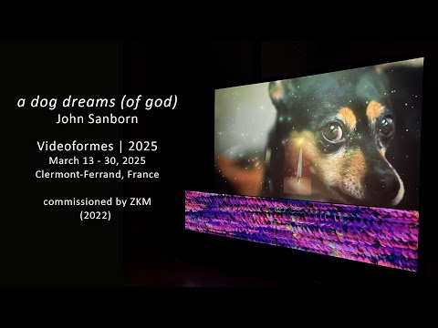 a dog dreams (of god) | John Sanborn | Videoformes 2025