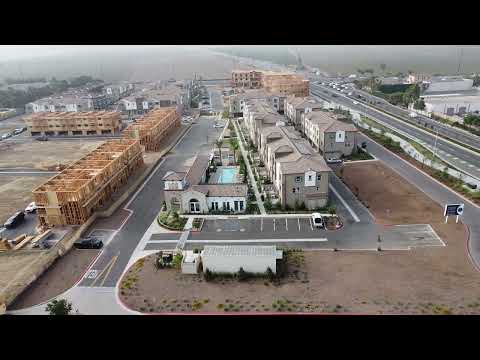 Palmera welcome video