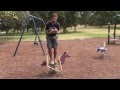 Understanding Forces and Free Body Diagrams