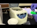 Plasmid Miniprep Process Overview