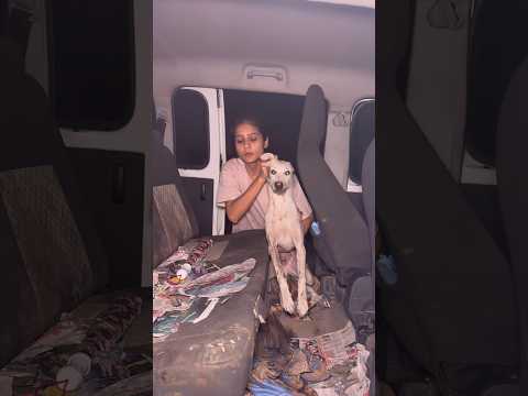 Raat ke 12:15 par ye bacha rescue kr ke mere pass ambulance se aya #humanity #rescue #ytshorts